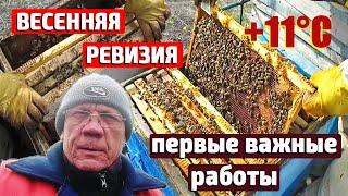 Как Правильно Открыть Улей Весной и Не Навредить Пчелам