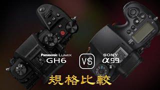 Panasonic Lumix GH6 與 Sony A99 II 的規格比較