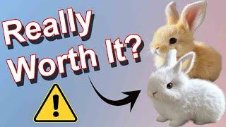 Fanyil BunnyPal Review - Is Fanyil Bunny Scam? To Know Watch Honest Fanyil Bunny Pal Review !