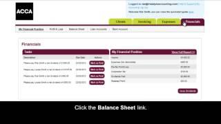 Freestyle Accounting Portal - How to View Your Balance Sheet