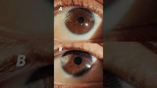 vivo X200 Pro VS Sony Full Frame with Macro Lens - Guess which is which 