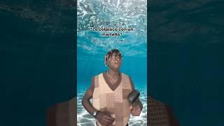 Quando vedi uno squalo sott’acqua 