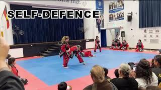 Hapkido College of Australia 2023 Promotional Video