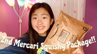 Another Mercari Squishy Package!!