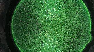 Glittery Green Agua Crush | Gym Chalk ASMR | Oddly Satisfying