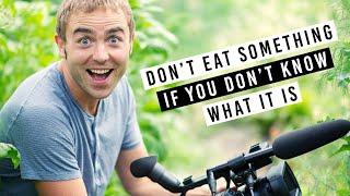 Don't Eat Something If You Don't Know What It Is 