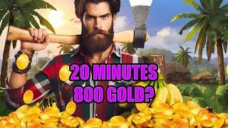 NEW WORLD HOW TO GET GOLD FAST