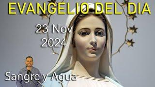 Evangelio Del Dia Hoy - Sabado 23 Noviembre 2024- Sangre y Agua