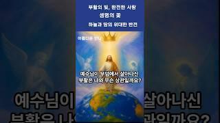 예수님의 부활, 세상을 바꾼 생명과 사랑 이야기!