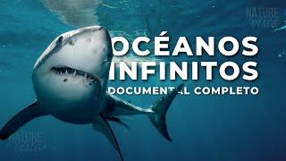 OCÉANOS INFINITOS | Un Viaje por los Océanos del Mundo - Documental Completo