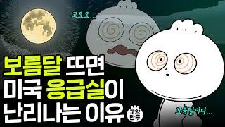 보름달이 뜨면 사건사고가 많이 발생한다?! l 외국인들이 보름달을 무서워하는 이유