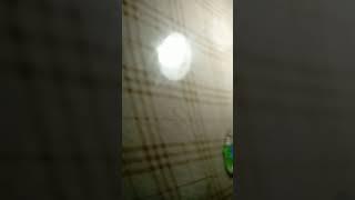 просто ленивое видео