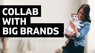 How to Begin Pet Influencing & Collab with BIG BRANDS