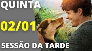 Sessão Da Tarde de hoje (02/01): Globo exibe filme A Caminho de Casa