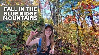 FALL in North Carolina | BLUE RIDGE MOUNTAINS in Autumn