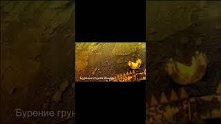 запись с Венеры