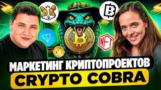 КАК ЗАРАБОТАТЬ НА ТАПАЛКАХ. КАК ПРОДВИГАТЬ КРИПТО ПРОЕКТЫ. БУДУЩЕЕ РЫНКА NFT | CRYPTO COBRA