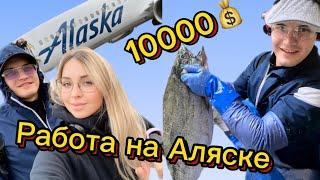 Работа в Америке.Где платят 10000$ в месяц .Работа Аляска.Заводы в Америке.Сезонные заработки в США.