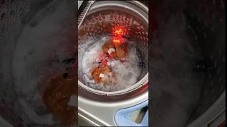 Holiday Inflatable Christmas Dog in the Washer