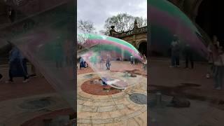 POV: Walking Through Central Park in Ray-Ban Meta Glasses #shorts #raybanmeta #newyorkcity #bubble