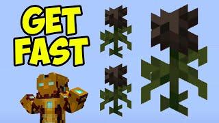 Minecraft How to get WITHER ROSE (EASY) (3 WAYS)