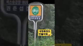 혹시 버스회사 사장님 #shorts #노총각c #노총각