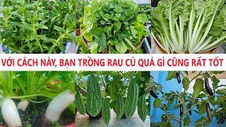 Với cách này bạn trồng rau củ quả gì cũng tốt rau say quả