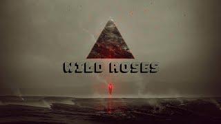 pxlwalker & D4NY - Wild Roses (Visualizer)