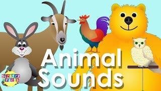 Best Animal Sounds Song Part 2