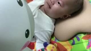 라꿍이 삐쭉영상