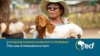 Catalysing livestock production in Zimbabwe: The Case of Zvikomborero Farm