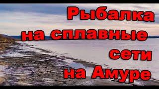 Рыбалка на Амуре сплавной сетью