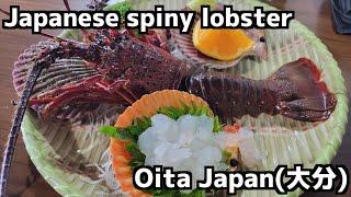 【Oita Japan】Wonderful Japanese Spiny Lobster in Oita #oita #spinylobster