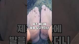 제주 바다에 발을 담구니 잠시 후 벌어진 일 #닥터쉬림프 #shorts