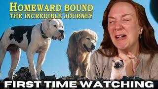 HOMEWARD BOUND made me SOB uncontrollably.