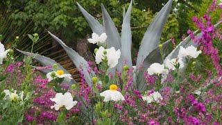 The Impact of the Ruth Bancroft Garden