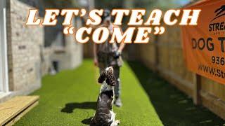 How To Teach "Come"