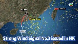 TVB News | 31 May 2024 | Strong Wind Signal No.3 issued in HK