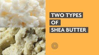 Two Types of Shea Butter  Refined vs Raw Unrefined (What’s The Difference)