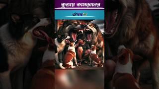 কুত্তায় কামড়ানের ঔষধ হাসির গল্প বাংলা #shortsfeed #হাসিরগল্প #story