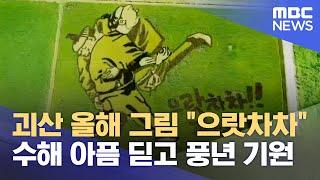 수해 딛고 풍년 기원‥ 괴산 논그림 "으랏차차" (2023.08.21/뉴스데스크/MBC충북)