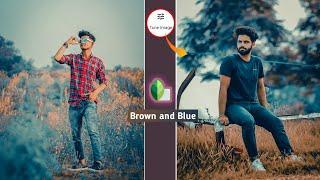 Snapseed Brown and Blue Effect Photo Editing || Snapseed Photo Editing