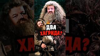 Было два Хагрида? #harrypotter #гаррипоттер #интересно #фильм #кино #danielradcliffe #hagrid #факты