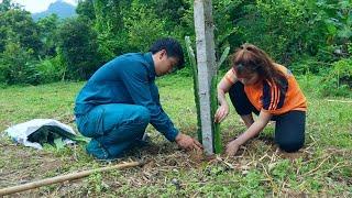 Single mother received dragon fruit seedlings and planting instructions from officials