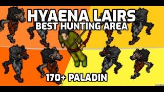 Hyaena Lairs - Best hunting area