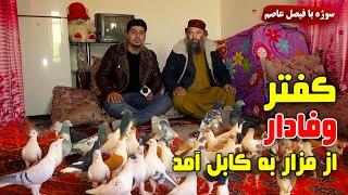 Sozha: Pigeon fancying with Faisal Asim/ سوژه: کفتر بازی با فیصل عاصم