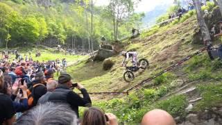 Adam Raga Big Crash