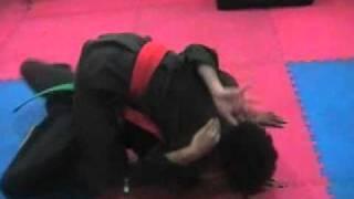 Defense ground and pound full mount position green belt demo