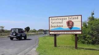 Assateague Island National Seashore Oversand Vehicle Zone