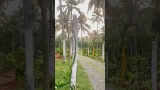 #relaxingmusic #love #music #razivlog #nature #travel #villagelife #happy #nature #lake